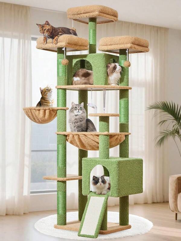 Alberi e rifugi per gatti