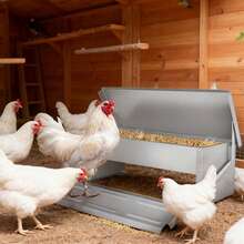 Poultry And Livestock Feeding & Watering Equipment - 5kg Cap. Max - View 5