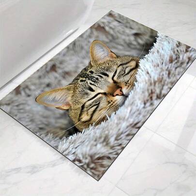 1pc Silica Gel Bathroom Doormat, Raccoon Cat Pattern Modern Minimalist Carpet For Living Room Bedroom