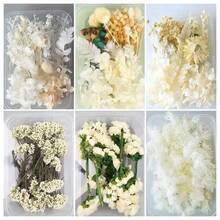 1盒随机干花及永生花DIY材料包，含香皂及香料，亲子DIY活动套装，随机DIY干花永生花相框、信封、书签、花环及其他材料 - 隨機款式 - 查看 3