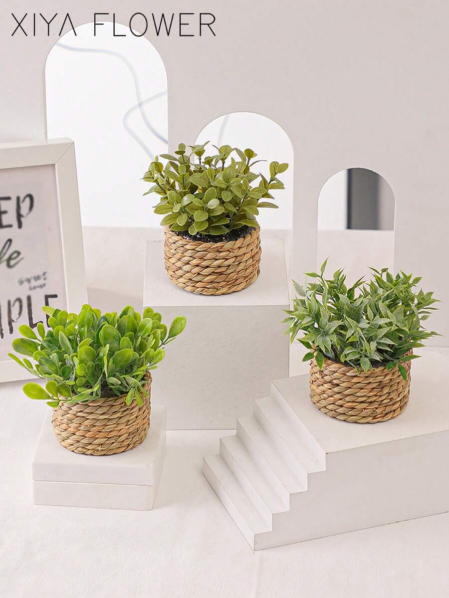 3 chậu cây mini giả mây, đan bằng dây rong biển, 3 kiểu dáng khác nhau, màu xanh lá cây, làm từ chất liệu PE, thích hợp để trang trí bàn làm việc, ký túc xá, ngày Valentine, văn phòng hoặc nhà cửa, cũng là món quà tuyệt vời cho bạn bè và gia đình.