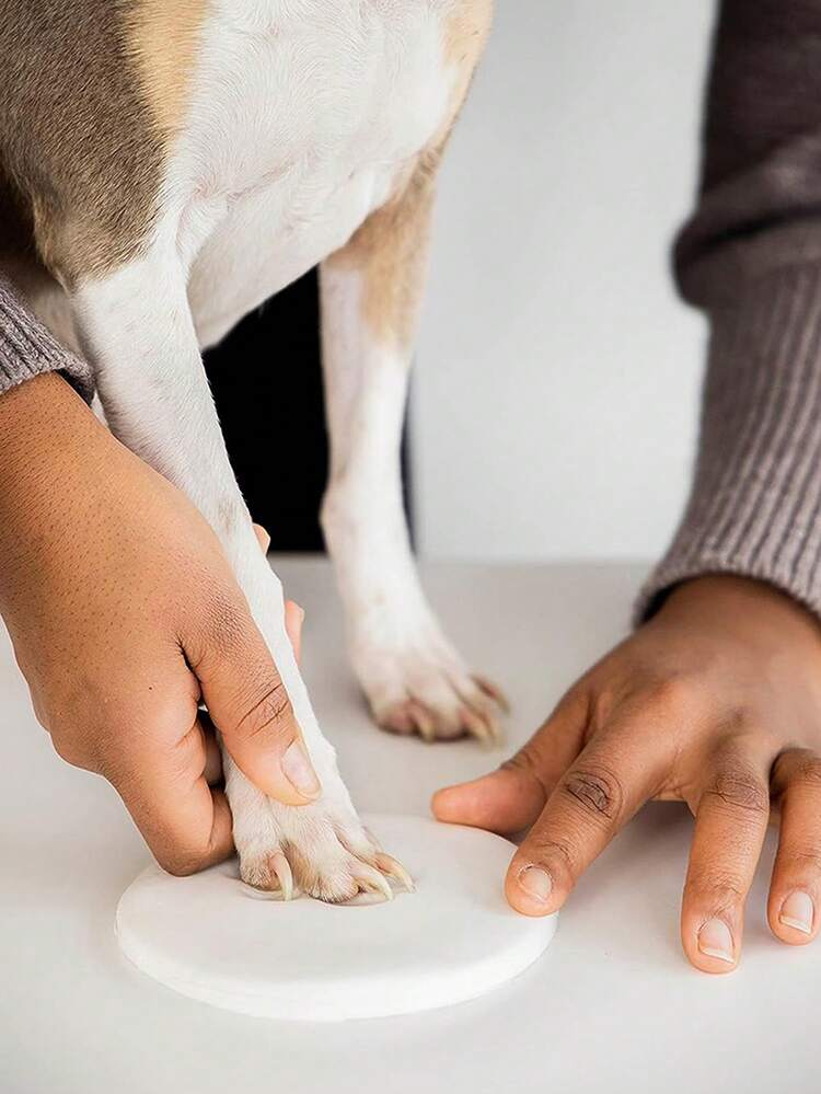 宠物爪印工艺套装，DIY纪念品套装，包含支架、刷子、模具盒、金色颜料、模具、3条丝带，宠物生日礼物，材质：粘土，包含2袋印花粘土 - 均碼 - 查看 4