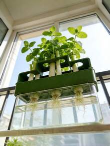 自动水培葱种植器，无土循环再种植收获家用 - 多色 - 查看 3