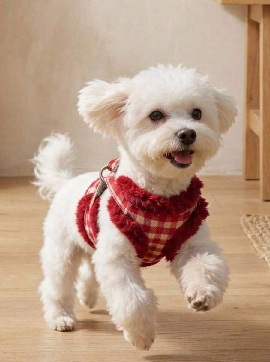 PETSIN 1 Set/2pcs (Harness + Leash) Stylish Pet Dog/Cat Leash Set, Thick/Houndstooth/Plaid Design Harness & Leash Set For Small/Medium Pets, Winter - Multicolor - View 1