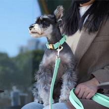 Elegant Leather & Nylon Adjustable Dog Collar And Leash Set, High Quality For Medium To Large Dogs - Multicolor - View 6