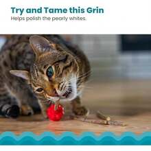 Catstages Dental Raspberry Teether With 4 Silvervine Sticks Included, Cat And Kitten Teething Toy, Red - / - 查看 4