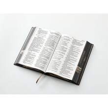 Biblia Rvr60 León Juda  Letra Grande Tamaño Manual Tapa Dura con Elastico - Libro único - Ver 3