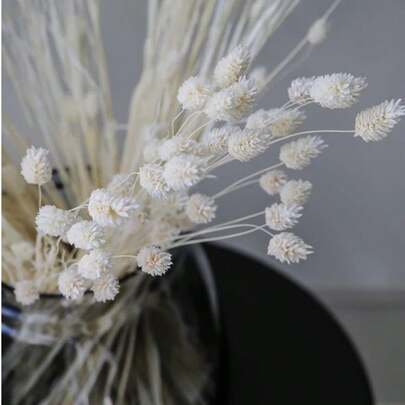 25/50/100pcs Gem Grass Dried Flowers/Preserved Flowers, Multi-Color Options, For Home Decor, Vase Decoration, DIY Bouquets, Cake Decoration