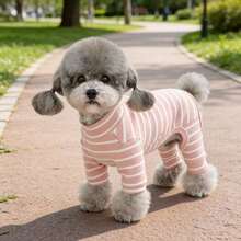 1 件全新宠物衣服，适合泰迪、博美犬、猫等小型犬的四腿狗服，舒适透气的休闲睡衣，适合春季、秋季和冬季 - 粉色 - 查看 13