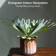 Potted Staghorn Fern For Home Decor, Fake Plant With Red Amp White Terracotta Pot, Faux Plants Indoor For Home, Bathroom, Desk, Or Bookshelf Decor, Living Room, Farmhouse Amp Shelf Decor - 粉白壺鹿角 - 查看 3