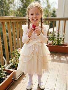 Toddler Dress Girls Ruffle Long Sleeve Layered Tulle Dress Fall Spring Fashion Party Dresses 3-10T, Kids Holiday Birthday Wedding Outfit - 杏色 - 查看 6