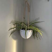 2/4/6件套现代木质墙钩，木质宠物牵引绳挂钩，木质衣物和浴室挂钩，室内植物架，家居墙面装饰 - Natural color - 查看 6