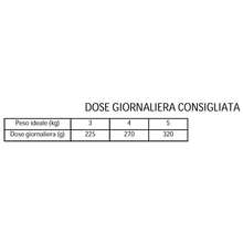 MORANDO Miglior Gatto Umido Straccetti con Manzo e Carote - 24x100g - kg - Visualizzare 4