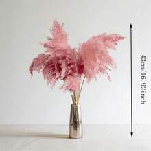 10pcs/Box Artificial Cattail Grass Decor, Fake Pampas Grass Feather Bouquet, Pink Cattail Dried Flowers, Suitable For Boho Style Room Floral Decor, Wedding Vase Bedroom Floor Decor, Artificial Plants, Birthday Anniversary Gift, DIY Wreath Decor, Party Event Backdrop, Flower Shop Materials - Red - View 6