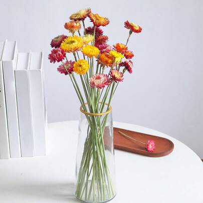 20Pcs Dried Daisy Flowers Creative Natural Real Dried Flower With Stem For Home Party Table Vase Decor