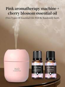 Set de 1 pieza/2 piezas (Difusor de aroma + Aceite esencial de aroma), aumenta la humedad del aire, alivia el aire seco, adecuado para el hogar, el hotel, la desodorización del baño, la fragancia, aroma duradero, excelente para regalos de cumpleaños/graduación. - Multicolor - Ver 18