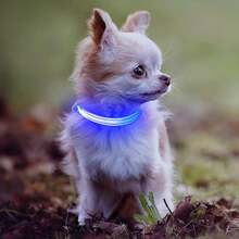 光る首輪 USB充電式 発光 LED 猫の首輪 調整可能 犬 首輪 猫用 小型犬 ペット用品 視認距離500m 犬 散歩 ライト 軽量 簡単着脱 - ブルー - チェックする 4