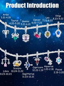 Sterling Silver Abstract Zodiac Animal Design Pendant,12 Zodiac Sign Pendants Versatile DIY Birthday Gift Beading Necklace Charm For Men And Women - Silver - View 3