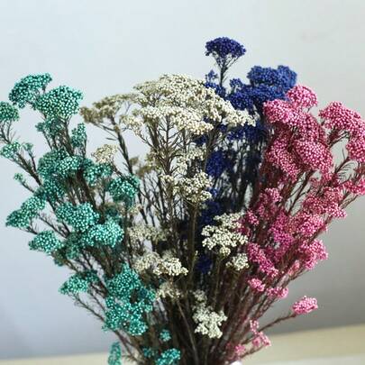 30/60g Preserved Millet Flowers Made Of 100% Pure Millet Flowers, These Preserved Blooms Are Long-Lasting . Ideal For Home Decoration, Wedding Adornment, Flower Arrangement, Photo Props, Party Decor, DIY Craft Projects, And As Valentine's Day Gifts. Also Suitable For Filling Glass Dome Displays