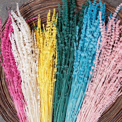 30/50/100支装高品质薰衣草花束，色彩缤纷的干薰衣草花，适用于家居插花、花店用品、手工DIY、漂浮花瓶、干花、节日礼物、圣诞节和情人节装饰