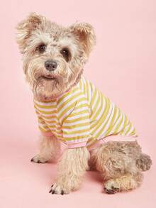 休闲时尚法斗、博美、泰迪熊新款条纹圆领T恤，适合小型/中型犬，春夏款 - 黃色 - 查看 3