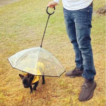 Adjustable Rainy Day Dog Walking Leash Transparent Pet Umbrella Dog C-Shaped Umbrella Pet Supplies Cat Carrier