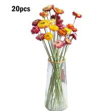 20Pcs Dried Daisy Flowers Creative Natural Real Dried Flower With Stem For Home Party Table Vase Decor - 1PC - View 7
