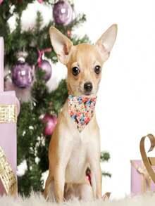 Unique Style Paws Dog Bandanas 1PC Washable Cotton Triangle Dog Scarfs Spring Summer With Colorful Flower For Small Medium Large Dogs And Cats - MàuJ - Xem 3