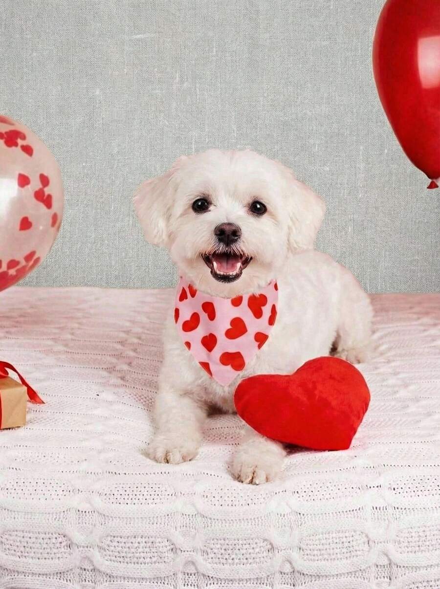 PETSIN 2 chiếc khăn quàng cổ cho chó nhân dịp Lễ Tình nhân - Họa tiết trái tim đỏ và hồng, khăn bandana điều chỉnh được kèm nơ, chất liệu polyester bền, có thể giặt máy, thích hợp làm phụ kiện quần áo cho thú cưng, khăn quàng cổ cho chó, thời trang cho chó. - Nhiều màu - Xem 1