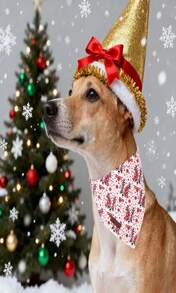 Unique Style Paws Dog Bandanas 1PC Washable Cotton Triangle Puppy Scarfs Christmas Red Pink Elk With Colorful Flower For Small Medium Large Dogs And Cats - ColorEE - 查看 4