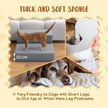 Pet Furniture Accessories - one-size - View 5