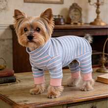 1 件全新宠物衣服，适合泰迪、博美犬、猫等小型犬的四腿狗服，舒适透气的休闲睡衣，适合春季、秋季和冬季 - 粉色 - 查看 5