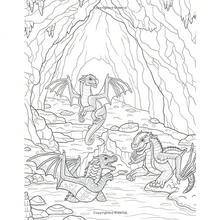 Official Wings Of Fire Coloring Book (Spiral Bound) - 單本 - 查看 2