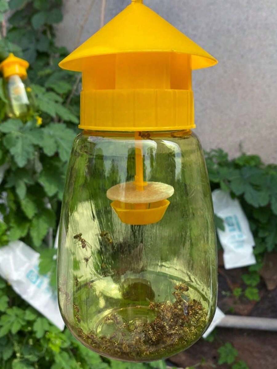 1 pieza Trampa para insectos exterior, cazador de moscas de la fruta, para moscas de la fruta, moscas del aguijón, pequeñas moscas de la fruta en huertos y huertos de verduras, atrayente de abejas - Amarillo - Ver 1