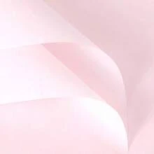 5 piezas/38 piezas Materiales de empaquetado de ramo de flores pequeñas de algodón de leche. Envuelva flores frescas con algodón de leche para presentar un efecto fresco y sencillo. - Rosa - Ver 2