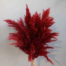 10pcs/Box Artificial Cattail Grass Decor, Fake Pampas Grass Feather Bouquet, Pink Cattail Dried Flowers, Suitable For Boho Style Room Floral Decor, Wedding Vase Bedroom Floor Decor, Artificial Plants, Birthday Anniversary Gift, DIY Wreath Decor, Party Event Backdrop, Flower Shop Materials - Red - View 5