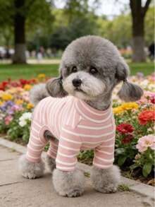 1 件全新宠物衣服，适合泰迪、博美犬、猫等小型犬的四腿狗服，舒适透气的休闲睡衣，适合春季、秋季和冬季 - 粉色 - 查看 10