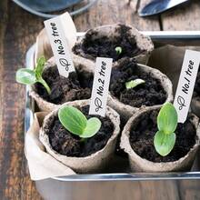 100 Pcs 4 Inch Plastic Plant Labels Pot Markers Nursery Garden Stakes Tags White Gardening Plant Identification Labels - White - View 6