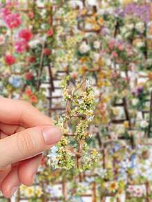 50 piezas Pegatinas de flores para escaleras, adecuadas para portátil, botella de agua, funda de teléfono, guitarra, monopatín, scrapbooking, equipaje, regalo para amigos, suministros de scrapbooking, papelería, pegatinas divertidas, Kindle manualidades libro de sticker estikers - Escalera de flores - Ver 7