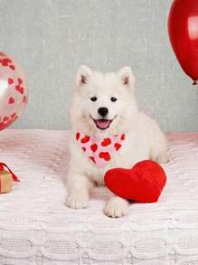 PETSIN 2 chiếc khăn quàng cổ cho chó nhân dịp Lễ Tình nhân - Họa tiết trái tim đỏ và hồng, khăn bandana điều chỉnh được kèm nơ, chất liệu polyester bền, có thể giặt máy, thích hợp làm phụ kiện quần áo cho thú cưng, khăn quàng cổ cho chó, thời trang cho chó. - Nhiều màu - Xem 3