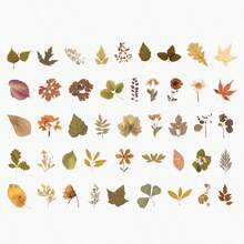 45pcs/Box Beautiful Flower & Leaf Stickers, Romantic Floral Series PET Box Stickers, INS Floral Scrapbooking DIY Decorative Stickers, Waterproof PET Self-Adhesive Stickers Scrapbook Supplies Stationery Funny Stickers Kindle - A - View 11