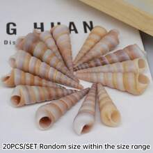 20个迷你红色圆锥形蜗牛壳 | 高级水族造景用品、海岸风家居及婚礼装饰、DIY工艺装饰品、圣诞礼物及圣诞装饰品填充物 - A - 查看 11