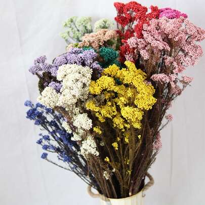 30/60克保鲜小米花，这些保鲜花朵持久鲜艳。非常适合用于家居装饰、婚礼装饰、插花、摄影道具、派对装饰、DIY手工项目以及作为情人节礼物。