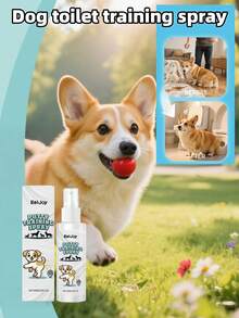 狗狗如厕训练喷雾，每日训练引导狗狗在指定地点排尿 - 彩色 - 查看 2