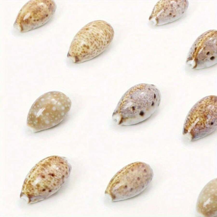 10pcs Mystery Lynx Conch Shells - Enchanting DIY Craft Kit For Home & Jewelry, Premium Aquarium Ornaments & Unique Photo Embellishments - A - View 1