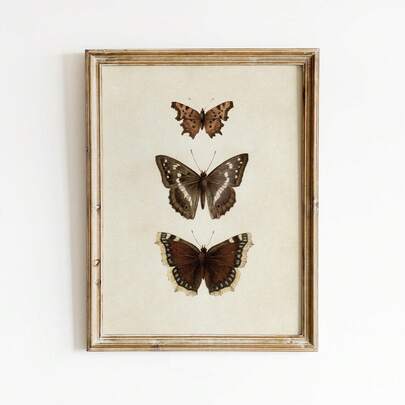 1幅无框复古风格蝴蝶三联画，米色纹理背景，完美打造自然风格的墙面装饰。适用于客厅、卧室和宿舍。是房间装饰和墙面艺术的理想之选。