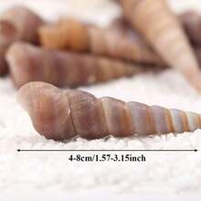 20个迷你红色圆锥形蜗牛壳 | 高级水族造景用品、海岸风家居及婚礼装饰、DIY工艺装饰品、圣诞礼物及圣诞装饰品填充物 - A - 查看 4