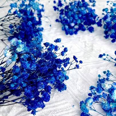 50/100/300支天然永生满天星 - 优雅永不凋谢的满天星，适用于家居、办公室、婚礼、圣诞节、万圣节派对、工艺品制作，无需维护，适合14岁以上人群（不含纸卡）