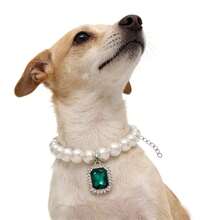 2件套宠物优雅狗狗项链套装，方形仿珍珠吊坠镶嵌水钻，奢华项圈设计，时尚英伦风耐用宠物项链 - 彩色 - 查看 7