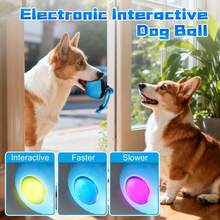 Interactive Smart Dog Ball Toy USB Rechargeable Automatic Rolling Dog Toy With Lights & Dog Sounds, Motion Activated Self Moving Pet Ball, Durable Chew Resistant Puppy Toy With Tail Rope For Indoor Play, IQ Training Exercise Toy For Small Medium Dogs Stress Relief Active Pet Toy - 藍色 - 查看 5